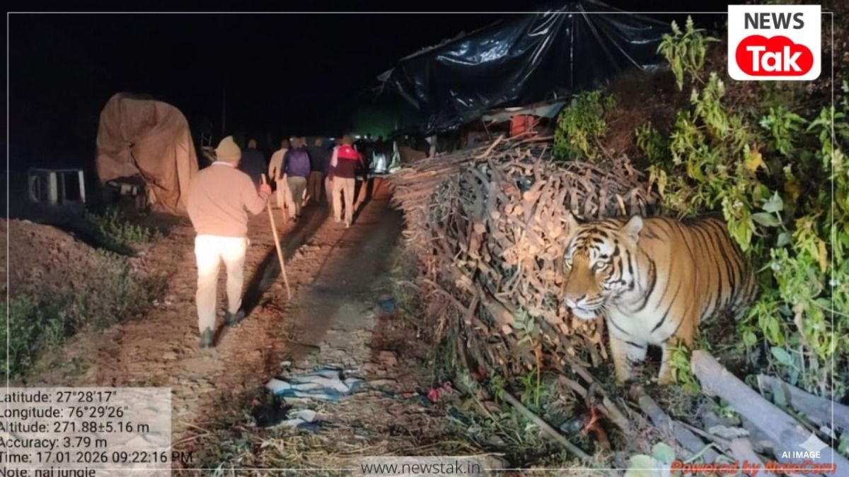 सरिस्का टाइगर रिजर्व में माफियाओं के आंतक का लाइव वीडियो, बाघिन ST-22 के इलाके में पुलिस-वनकर्मियों पर अटैक, 6 घायल Sariska Tiger Reserve