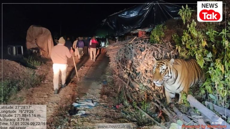 सरिस्का टाइगर रिजर्व में माफियाओं के आंतक का लाइव वीडियो, बाघिन ST-22 के इलाके में पुलिस-वनकर्मियों पर अटैक, 6 घायल Sariska Tiger Reserve