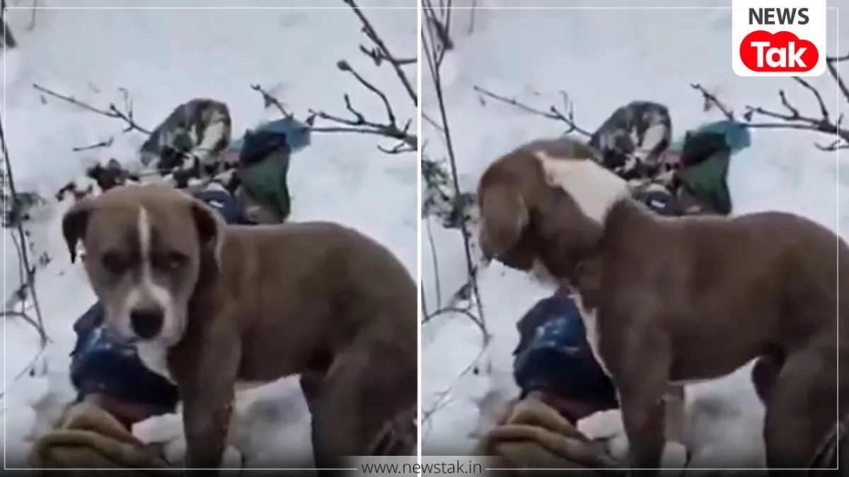 The dog sat next to its owner's body for four days amidst the snowfall.