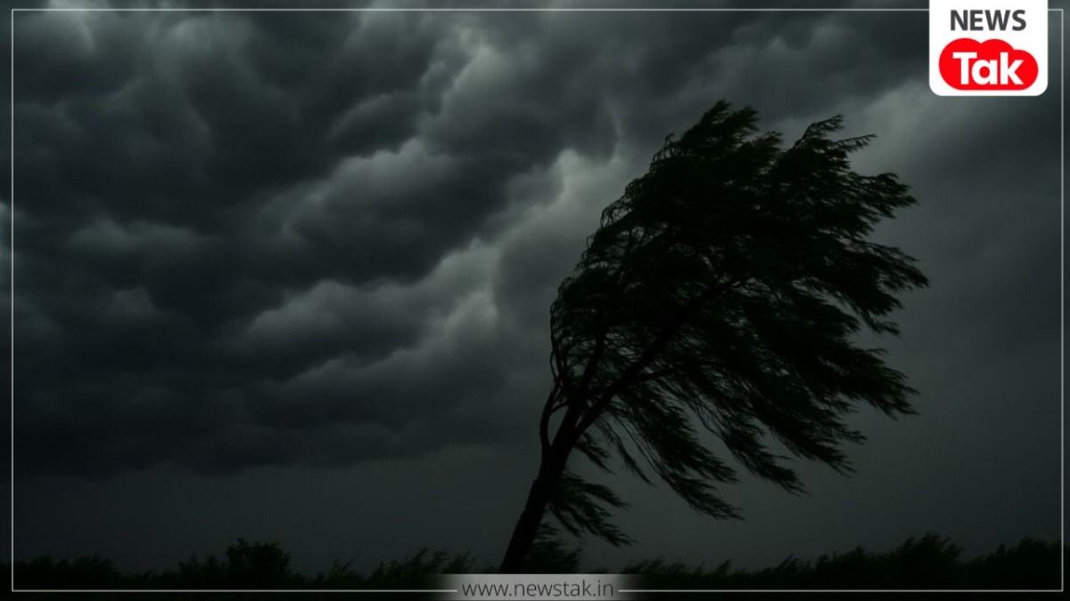 MP Weather Update: कड़ाके की ठंड के बीच जबलपुर, बैतूल, सतना समेत इन जिलों में आज हो सकती है बारिश NewsTak