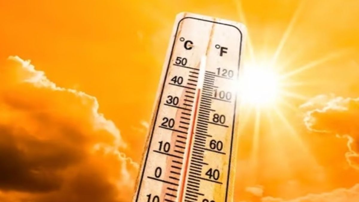 Rajasthan Weather Update: 30°C के पार जाएगा पारा! राजस्थान में फरवरी की गर्माहट शुरू, कहीं प्लान बनाने से पहले जान ले अपने इलाके के मौसम का हाल NewsTak