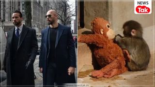 सोशल मीडिया पर वायरल बेबी मंकी ‘Punch’ को मिल गया घर! इस बड़े इंफ्लूएंसर ने करोड़ों में खरीदने का दे डाला ऑफर NewsTak