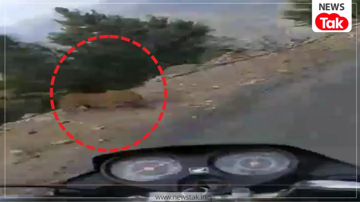 Chakrata leopard attack Viral video