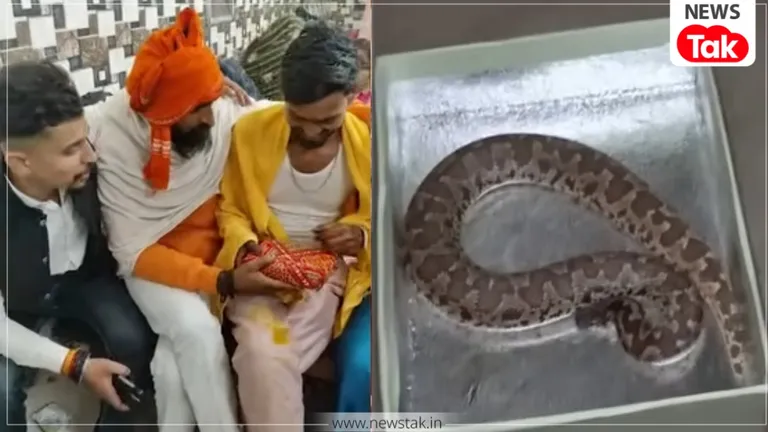 रोहतास: दोस्त की शादी में मिठाई के डिब्बे में पैक कर दिया 'जिंदा सांप', तोहफा खोलते ही दूल्हे के उड़ गए होश! Bihar Wedding Prank Video