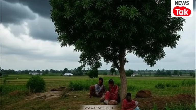 Bihar Weather Update: बिहार में कैसा रहेगा 19 मार्च को मौसम? जानें तापमान, बारिश और अगले दिनों का हाल Bihar Weather Forecast
