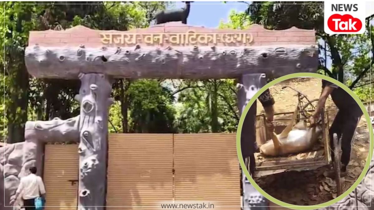 छत्तीसगढ़: वन विभाग की बड़ी लापरवाही, संजय पार्क में आवारा कुत्तों ने 15 हिरणों को उतारा मौत के घाट, शव जलाकर मामला छुपाने की कोशिश का आरोप छत्तीसगढ़ न्यूज