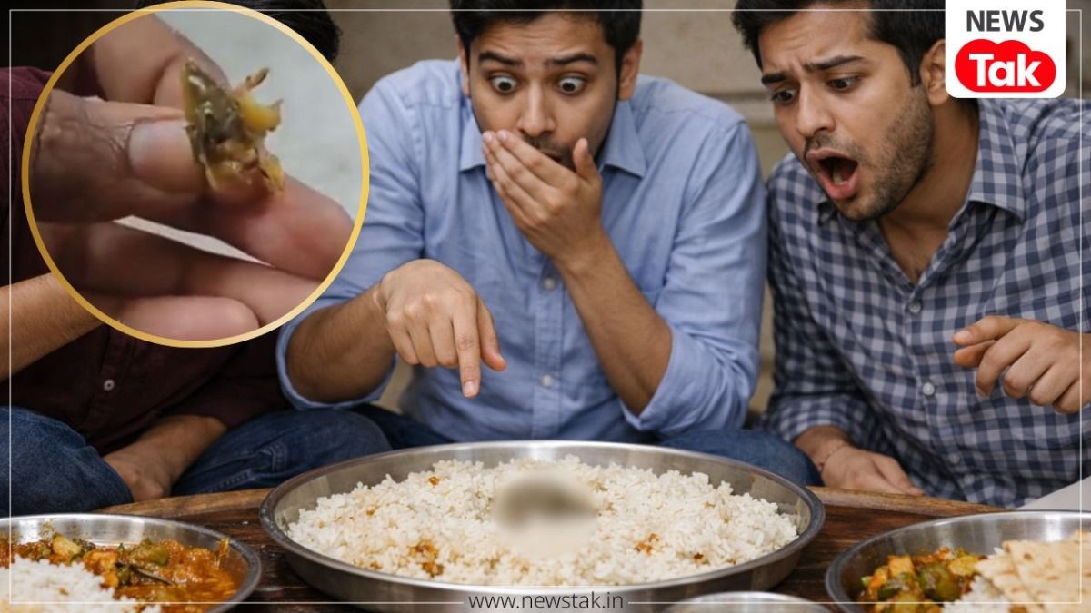 MP news: RGPV की कैंटीन में गजब कांड ! छात्रों ने दिखाया खाने में दिखाया छिपकली तो स्टाफ बोला- शिमला मिर्च है, वायरल हुआ वीडियो NewsTak