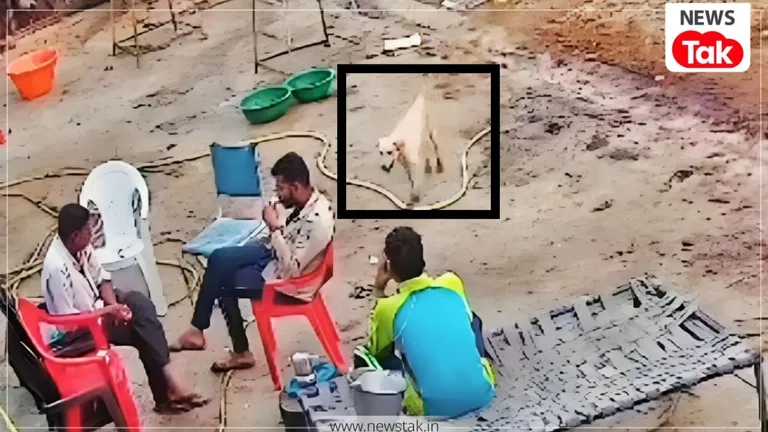 कुत्ते के अटैक का ऐसा वीडियो इससे पहले नहीं देखा होगा...इंदौर के महु में Dog के आतंक का हैरान करने वाला CCTV आया सामने NewsTak