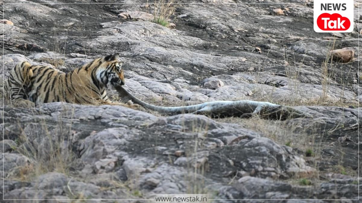 Ranthambore