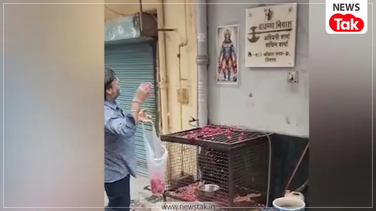 दिल्ली: त्रिनगर में 'सूअर' पालने पर बवाल, हिंदू और मुस्लिम पक्ष के दावों ने उलझाया मामला, इलाके में तनाव दिल्ली न्यूज