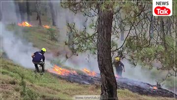 uttarakhand forest fire उत्तराखंड में 15 फरवरी से 26 मई 2026 के बीच जंगल में आग की 398 घटनाएं की गई दर्ज