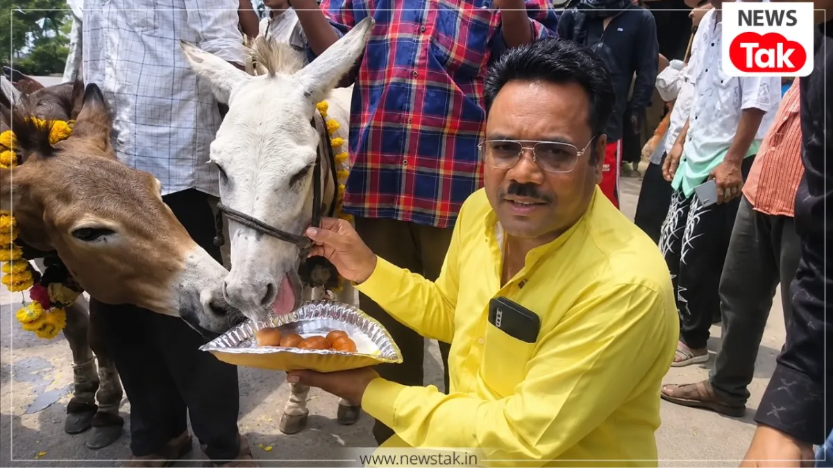भोपाल में गधों को खिलाए गए गुलाब जामुन