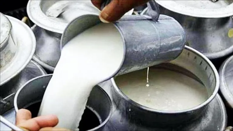 Milk Price Hike: महंगाई का झटका! मुंबई वालों को 93 रुपये वाला दूध अब 102 रुपये लीटर मिलेगा NewsTak