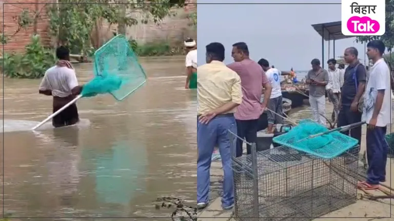 पटना में बाढ़ के बीच जंगली सुअरों का खौफनाक तांडव, 2 महिलाएं जख्मी NewsTak