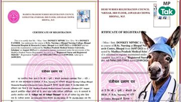 Bizarre fraud in MP: Photo of a donkey, name 'Donkey', and caste 'Animal'... a nursing registration certificate was issued upon payment of a ₹2,050 fee! NewsTak