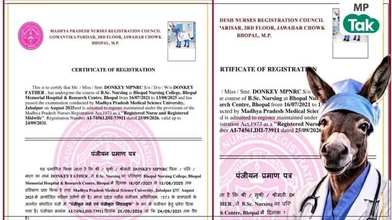 MP में गजब फर्जीवाड़ा: गधे की फोटो, नाम 'डंकी' और जाति 'एनिमल'... 2,050 रुपये फीस देते ही जारी हुआ नर्सिंग रजिस्ट्रेशन सर्टिफिकेट! NewsTak