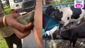 Viral Video NewsTak