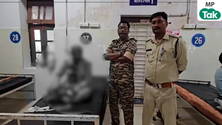 सागर: वन भूमि पर कब्जा रोकने गई टीम पर पथराव, डिप्टी रेंजर का सिर फूटा; ट्रैक्टर से कुचला NewsTak