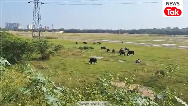 Burari Ground Protest Site: दिल्ली का बुराड़ी ग्राउंड बना नया प्रोटेस्ट साइट, जानें कितने एकड़ में फैला है और कितने लोग आ सकते हैं Burari Ground Protest Site