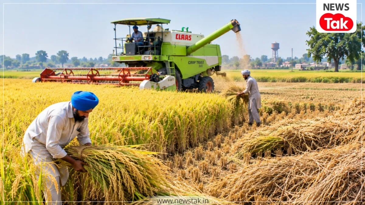पंजाब में पराली जलाने की घटनाओं में 93% से ज्यादा की आई भारी गिरावट ! NewsTak
