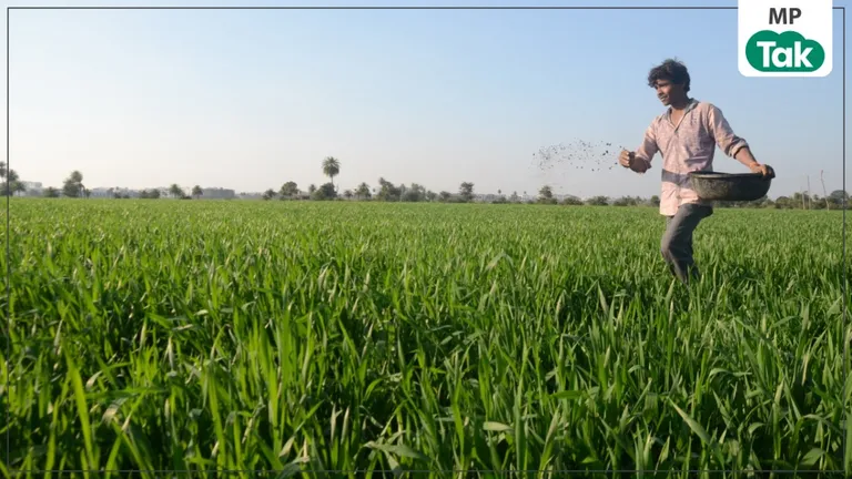 मध्य प्रदेश के किसानों को अब QR Code से मिलेगी खाद, किसानों के लिए एग्रीस्टैक और QR Code आधारित नई व्यवस्था लाएगी सरकार. NewsTak