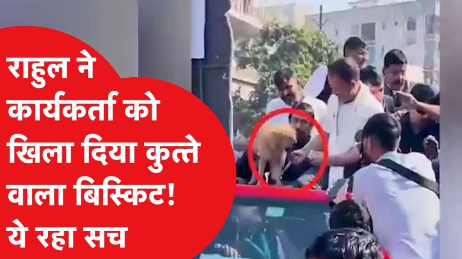 Fact Check Rahul: Congress कार्यकर्ता को कुत्ते वाला बिस्किट खिलाने का ये रहा पूरा सच Video Thumbnail