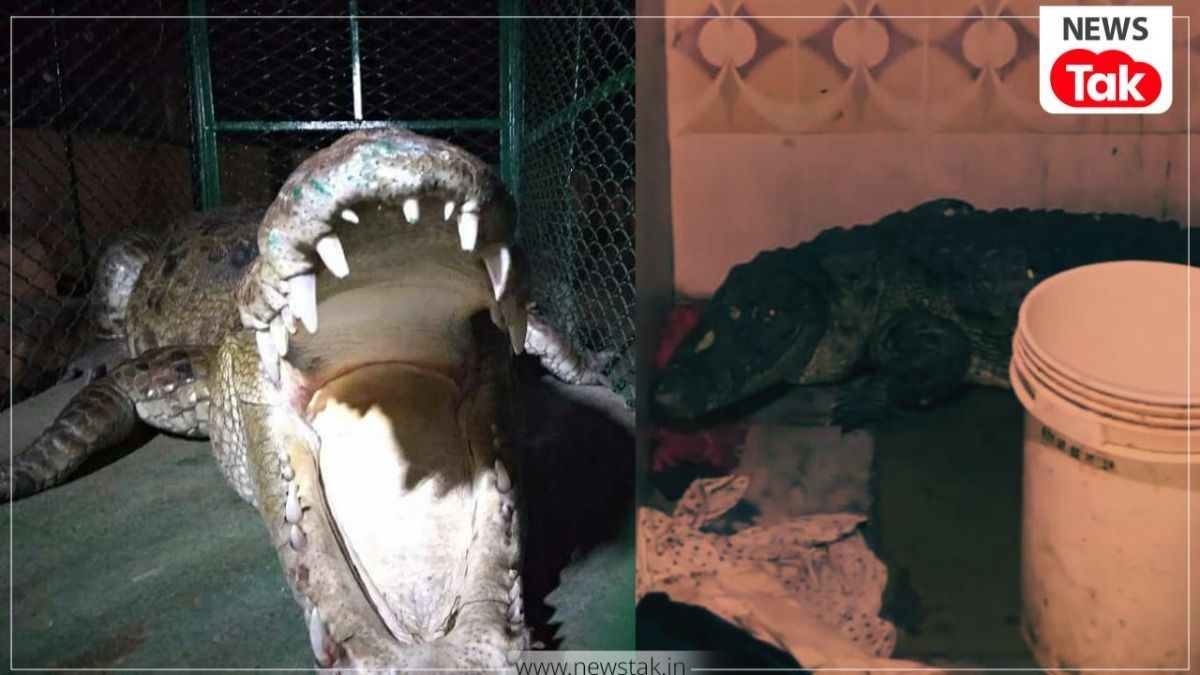 When the bathroom door was opened, a massive crocodile was sitting right there with its mouth wide open; the dog alerted the landlord.