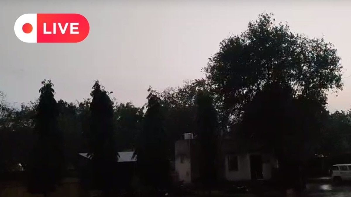 Rajasthan news Live: धौलपुर में मौसम पलटा, हो रही झमाझम बारिश, इन जिलों में भी अलर्ट NewsTak