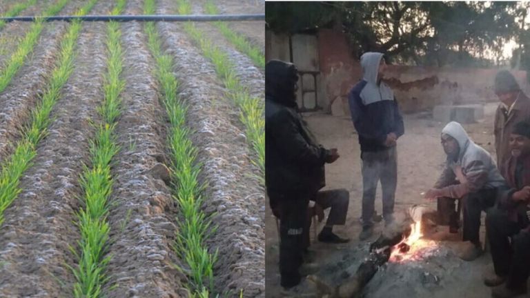 फतेहपुर: सीजन का सबसे ठंडा दिन, खेतों में जमी ओस की बूंदे NewsTak