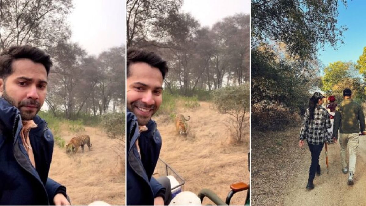 बॉलीवुड एक्टर वरुण धवन ने रणथंभौर में Tiger के साथ साल 2022 को ऐसे किया अलविदा NewsTak
