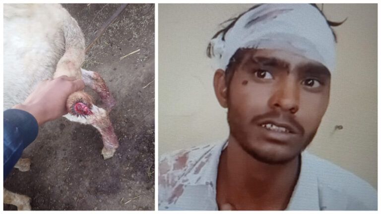 अलवर: भेड़ की पूंछ काटने पर दो पक्ष आपस में भिड़े, जमकर बरसे पत्थर-लाठियां, जानें पूरा मामला NewsTak