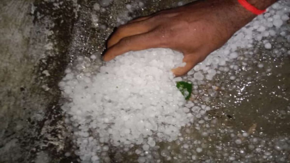 Rajasthan weather: कई जिलों में आसमान से बरसे ओले, बारिश ने किसानों के अरमानों पर फेरा पानी NewsTak