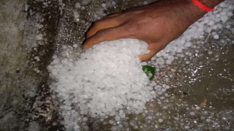 Rajasthan weather: कई जिलों में आसमान से बरसे ओले, बारिश ने किसानों के अरमानों पर फेरा पानी NewsTak