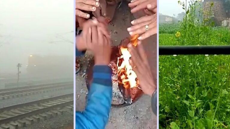 सर्दी ने छुड़ाई लोगों की कंपकंपी, धौलपुर में पेड़-पौधों की पत्तियों पर जमी ओस की परत NewsTak