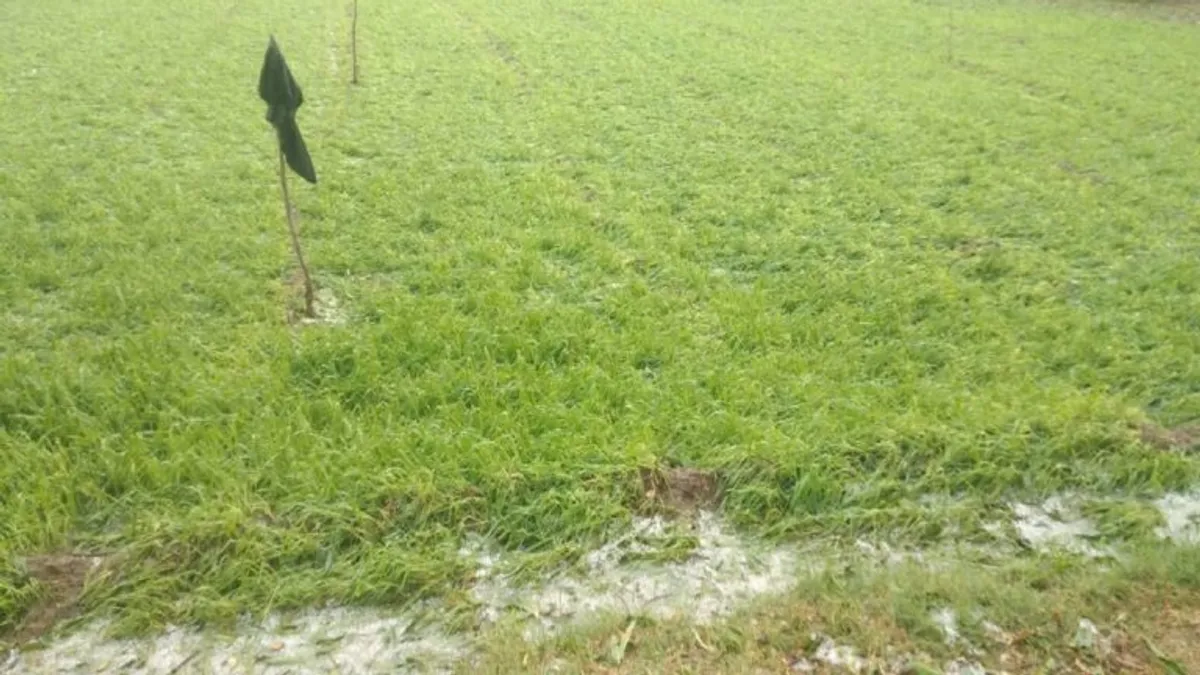 राजस्थान में बारिश-ओलावृष्टि से फसलें चौपट, 72 घण्टे में देनी होगी रिपोर्ट, नहीं तो हो सकता है नुकसान! NewsTak