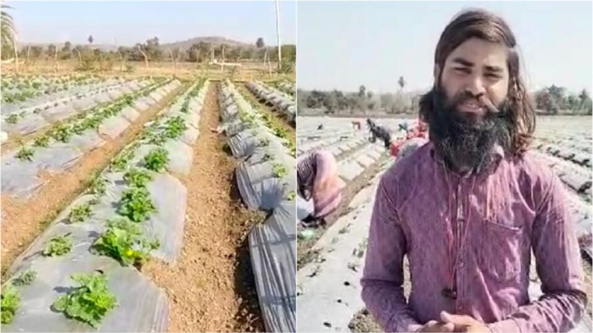 क्लर्क और थर्ड ग्रेड टीचर की नौकरी छोड़ इस युवा ने शुरू की खेती, अब लाखों का मुनाफा, जानें NewsTak