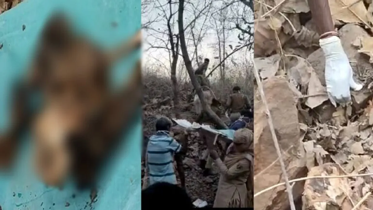 डूंगरपुर: प्रेमिका पर घूमी शक की ये सुई, ढाई महीने बाद पत्थरों के नीचे दबा मिला उसका कंकाल, जानें NewsTak