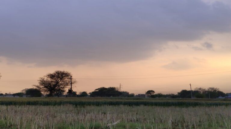 Rajasthan Weather Alert: किसानों पर फिर से बरसेगी आफत, मौसम विभाग ने जारी की चेतावनी NewsTak