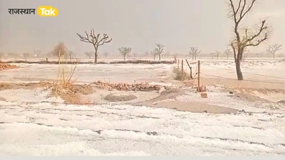 Rajasthan Weather: नागौर में 1 घंटे जमकर हुई ओलावृष्टी, हर तरफ कश्मीर जैसा नजारा, देखें वीडियो NewsTak
