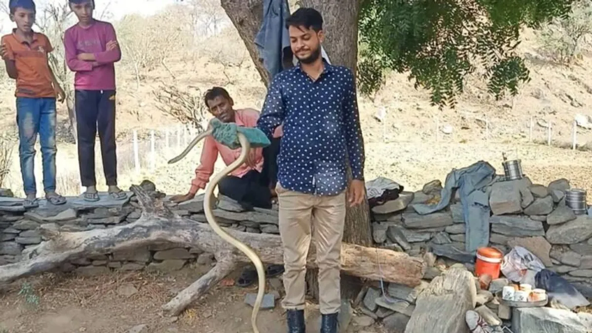 Pali: 60 फीट गहरे कुएं में छटपटा रहा था जहरीला सांप, फिर ऐसे बचाई गई उसकी जान, देखें Pali: 60 फीट गहरे कुएं में छटपटा रहा था जहरीला सांप, फिर ऐसे बचाई गई उसकी जान, देखें