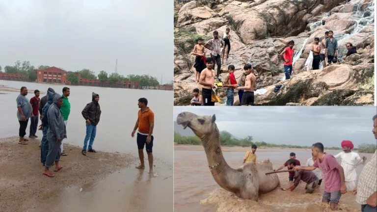 Rajasthan: बिपरजॉय का कहर, कहीं पानी में ऊंट फंसा तो झरनों पर सेल्फी लेते 7 दोस्त पहुंचे जेल, 4 की मौत Rajasthan: बिपरजॉय का कहर, कहीं पानी में ऊंट फंसा तो झरनों पर सेल्फी लेते 7 दोस्त पहुंचे जेल, 4 की मौत