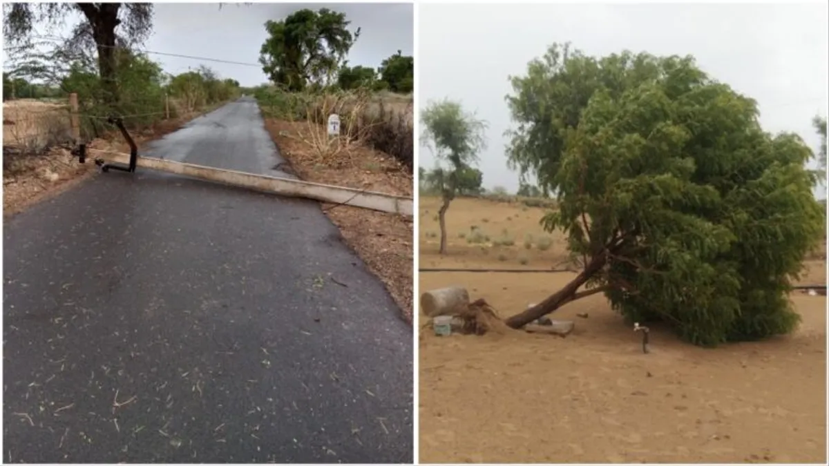 Cyclone Biparjoy: बाड़मेर में तूफान ने दी दस्तक, बारिश और तेज हवाएं से पेड़ उखड़े, बिजली के पोल भी गिरे Cyclone Biparjoy: बाड़मेर में तूफान ने दी दस्तक, बारिश और तेज हवाएं से पेड़ उखड़े, बिजली के पोल भी गिरे