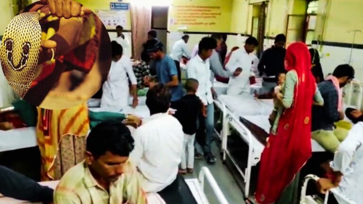 बाड़मेर में बिपरजॉय के कहर के बीच एक साथ 19 लोगों को सांप ने काटा बाड़मेर में बिपरजॉय के कहर के बीच एक साथ 19 लोगों को सांप ने काटा