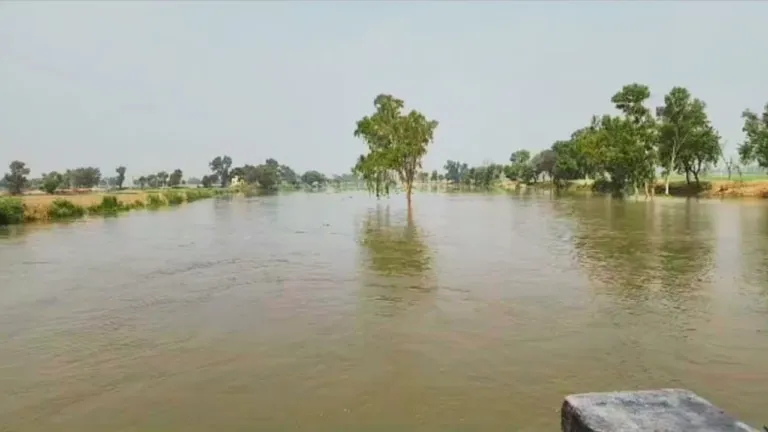 हनुमानगढ़ में बाढ़ का खतरा: प्रशासन अलर्ट पर, संवेदनशील इलाकों को खाली कराने के आदेश