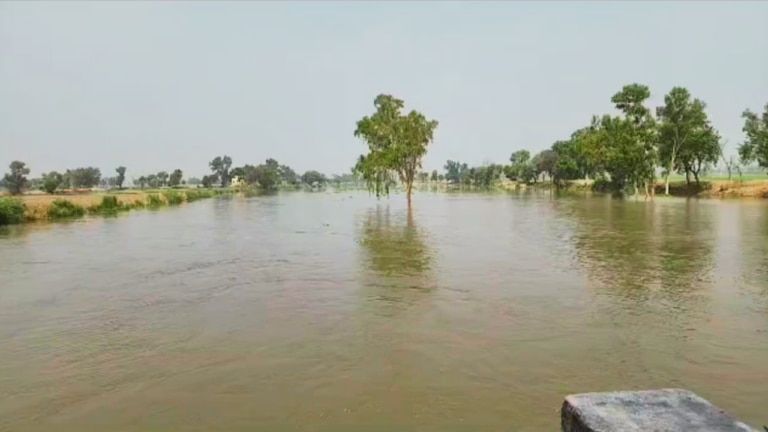 हनुमानगढ़ में बाढ़ का खतरा: प्रशासन अलर्ट पर, संवेदनशील इलाकों को खाली कराने के आदेश हनुमानगढ़ में बाढ़ का खतरा: प्रशासन अलर्ट पर, संवेदनशील इलाकों को खाली कराने के आदेश