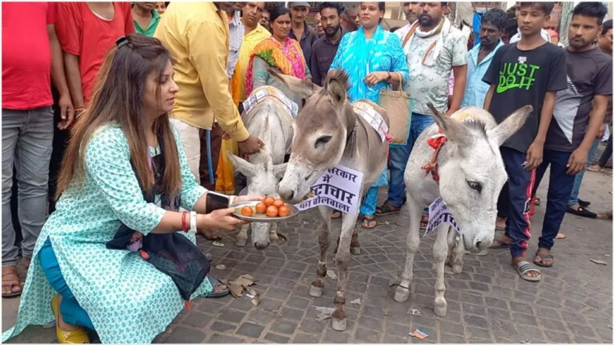 Rajasthan: जयपुर में गधे खा रहे गुलाब जामुन, अनूठे प्रदर्शन को लेकर सामने आई यह वजह Rajasthan: जयपुर में गधे खा रहे गुलाब जामुन, अनूठे प्रदर्शन को लेकर सामने आई यह वजह