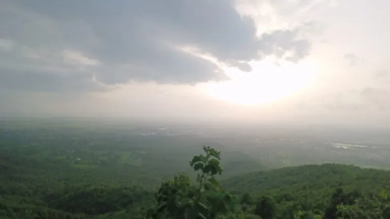बारिश के दौर के बाद बीतें कुछ दिनों से मौसम शुष्क, करौली, धौलपुर और भरतपुर के लिए जारी हुआ अलर्ट NewsTak