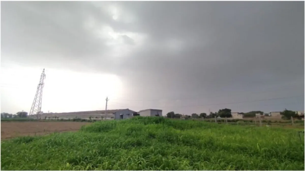 Rajasthan Weather: अलवर, जयपुर समेत प्रदेश के कई हिस्सों में बूंदाबांदी, जानें बारिश को लेकर नया अपडेट Rajasthan Weather: अलवर, जयपुर समेत प्रदेश के कई हिस्सों में बूंदाबांदी, जानें बारिश का नया अपडेट