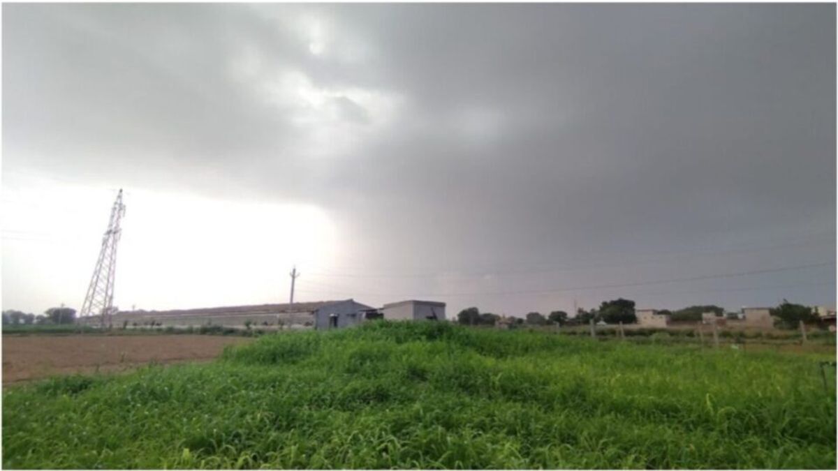 Weather Alert: राजस्थान में थमेगा बारिश का दौर! मौसम विभाग ने जारी किया यह अपडेट Weather: राजस्थान में थमेगा बारिश का दौर, मौसम विभाग ने जारी किया यह अपडेट