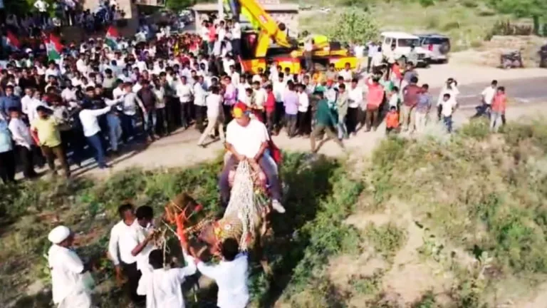 कांग्रेस MLA हरीश चौधरी को ले भागा ऊंट? जानें सोशल मीडिया पर वायरल दावे की सच्चाई barmer congress mla harish chaudhary and camel video going viral Know the truth of the matter